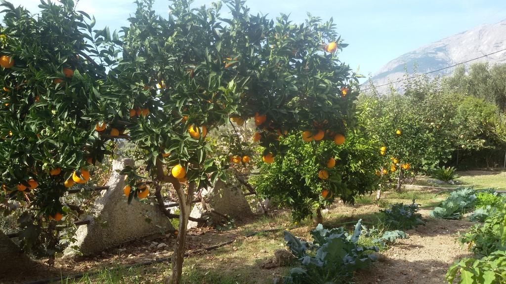 Thalina Hotel Μαραθόκαμπος Εξωτερικό φωτογραφία